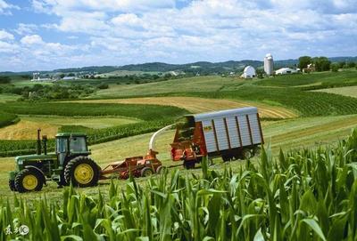 美国玉米亩产最高达2269kg,高产有何秘方?中国是否可以做到?