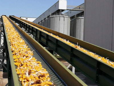 现代化玉米种子生产线